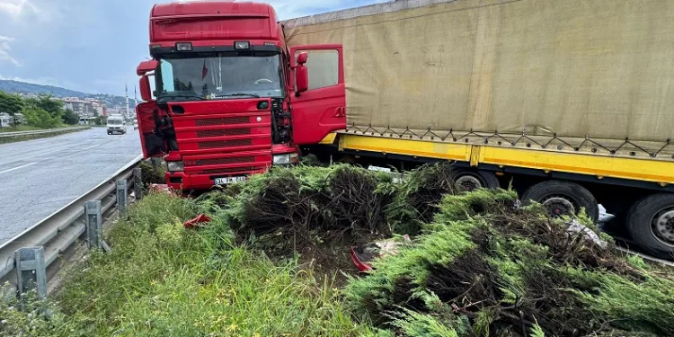 Tır orta refüje çıktı: 1 yaralı