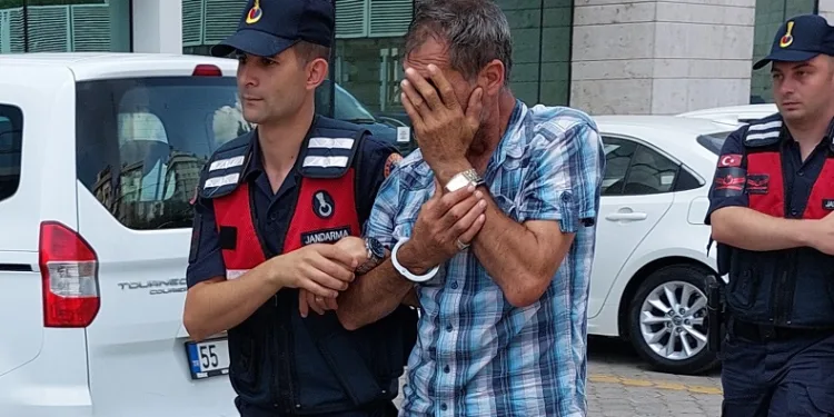 Jandarmanın sahte ehliyet operasyonda gözaltına alınanlar serbest bırakıldı