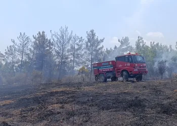 Manavgat’ta 4 dönüm kızılçam ormanı yandı