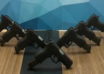 Kars’ta kömürlükte saklanan silahlar polise takıldı
