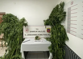 Jandarmadan 2 ayrı uyuşturucu operasyonu