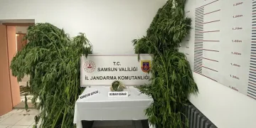 Jandarmadan 2 ayrı uyuşturucu operasyonu