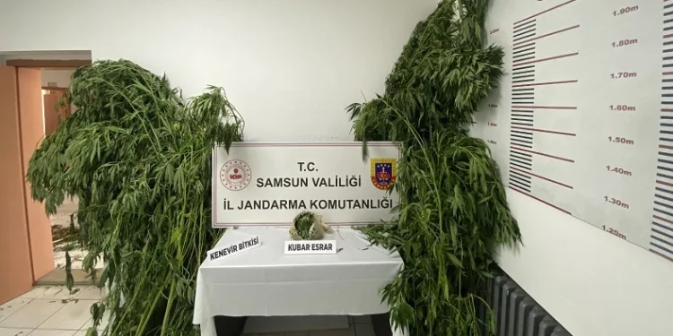 Jandarmadan 2 ayrı uyuşturucu operasyonu