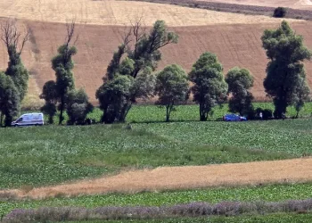 Muhtarlık tartışmasında kan döküldü