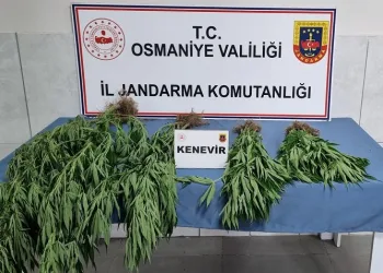 Jandarmadan uyuşturucu operasyonu: 10 gözaltı
