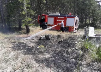 Yol kenarına atılan sigara yangına neden oldu