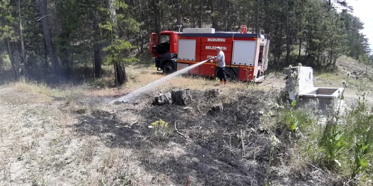 Yol kenarına atılan sigara yangına neden oldu