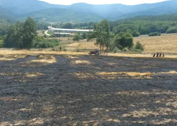 Balya yapılmayı bekleyen buğday sapları alev alev yandı