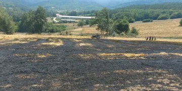 Balya yapılmayı bekleyen buğday sapları alev alev yandı