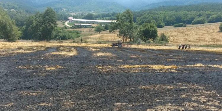 Balya yapılmayı bekleyen buğday sapları alev alev yandı