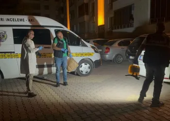Elazığ’daki cinayet şüphelisi tutuklandı