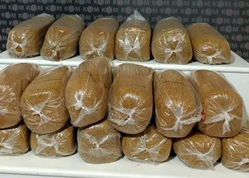 99 kilogram kaçak tütün ele geçirildi