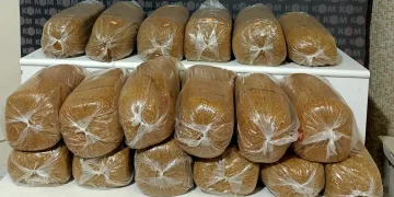 99 kilogram kaçak tütün ele geçirildi
