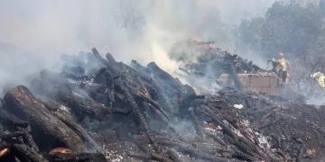 Mersin’de bahçe yangını, ormana sıçramadan söndürüldü