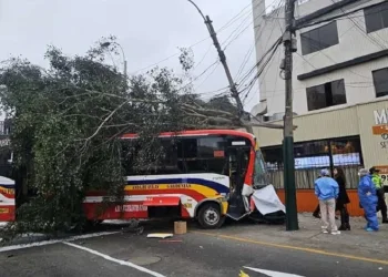 Peru’da kontrolden çıkan otobüs yaya geçidine daldı: 1 ölü, 31 yaralı