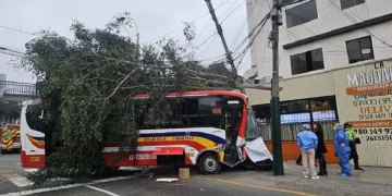 Peru’da kontrolden çıkan otobüs yaya geçidine daldı: 1 ölü, 31 yaralı