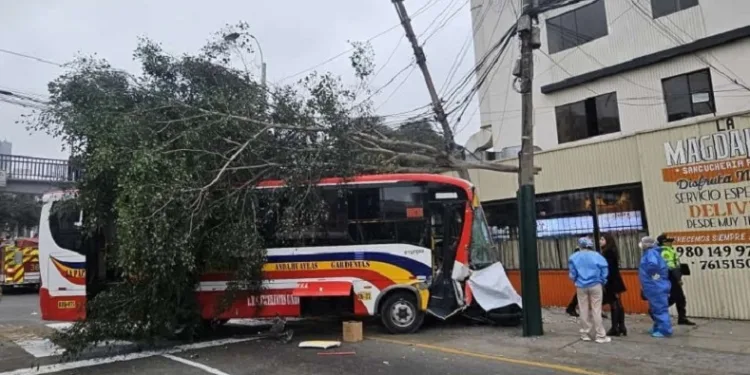 Peru’da kontrolden çıkan otobüs yaya geçidine daldı: 1 ölü, 31 yaralı