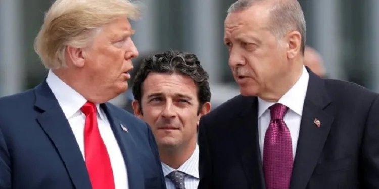Cumhurbaşkanı Erdoğan, Donald Trump ile görüştü