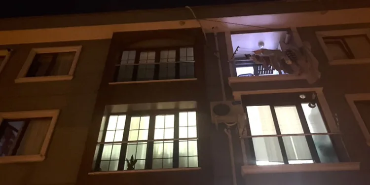 Eski sevgilisini yeni sevgilisine öldürttü