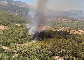 Muğla Milas’ta yangın