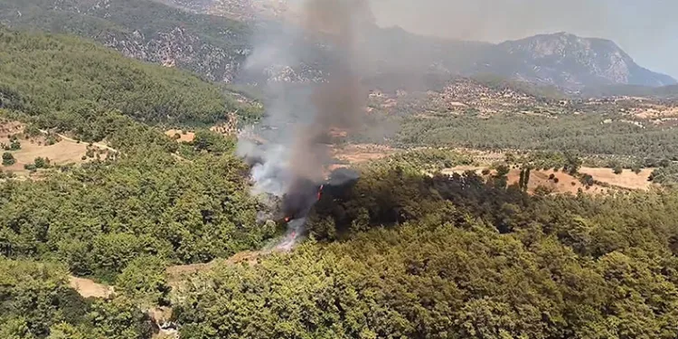 Muğla Milas’ta yangın