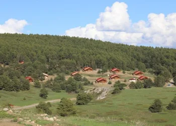 Erzincan’ın yeşil cenneti: Dumanlı Tabiat Parkı