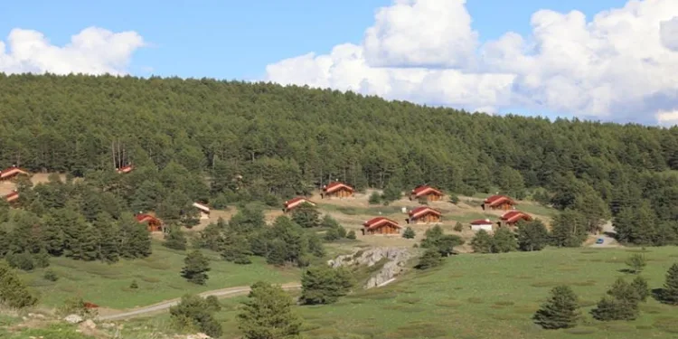 Erzincan’ın yeşil cenneti: Dumanlı Tabiat Parkı