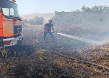 Van’da anız yangını