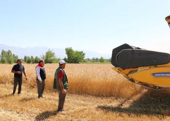 Biçerdöverler takip altında
