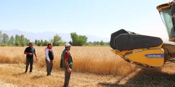 Biçerdöverler takip altında
