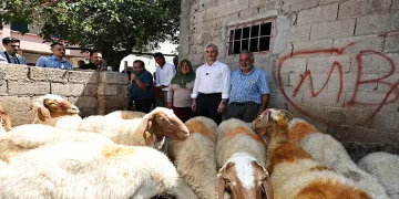 Belediyeden aldığı 16 koyunu 130’a çıkardı