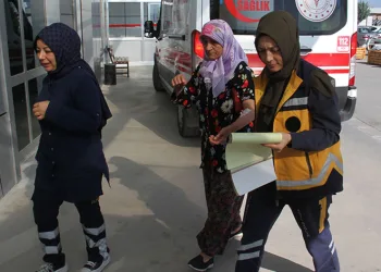 Konya’da köpeğin saldırdığı kadın yaralandı
