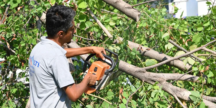Antalya’da fırtına sonrası gece boyunca ‘devrilen ağaç’ mesaisi