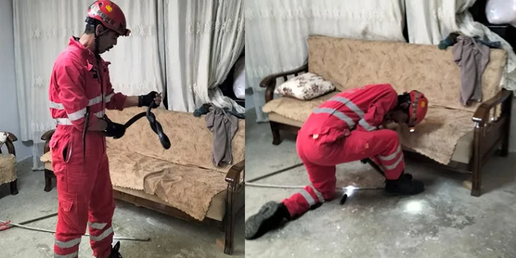 Antakya’da eve giren yılanı itfaiye yakaladı