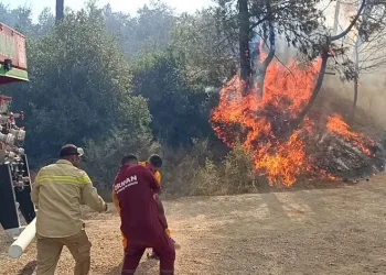 Adana’da orman yangını