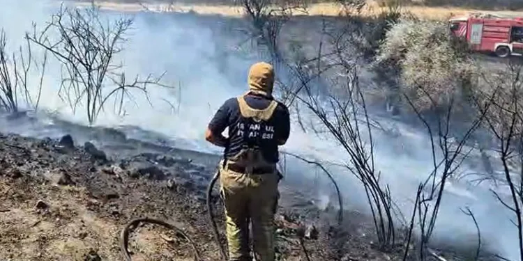 Silivri’de otluk alanda yangın