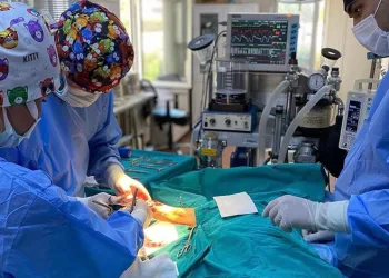 6 ayda 2 bin 170 kedi ve köpek kısırlaştırıldı