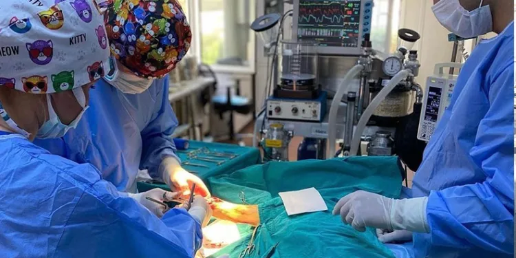 6 ayda 2 bin 170 kedi ve köpek kısırlaştırıldı