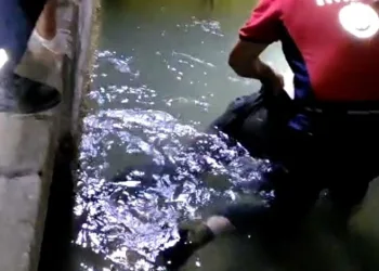 Tarsus’ta sulama kanalında erkek cesedi bulundu