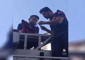 Ağaçta mahsur kalan karganın imdadına itfaiye yetişti
