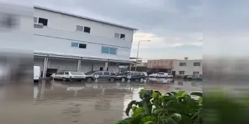 Adana’da şiddetli yağmur etkili oldu