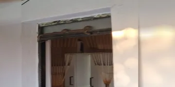 Eve giren yılan korkuttu