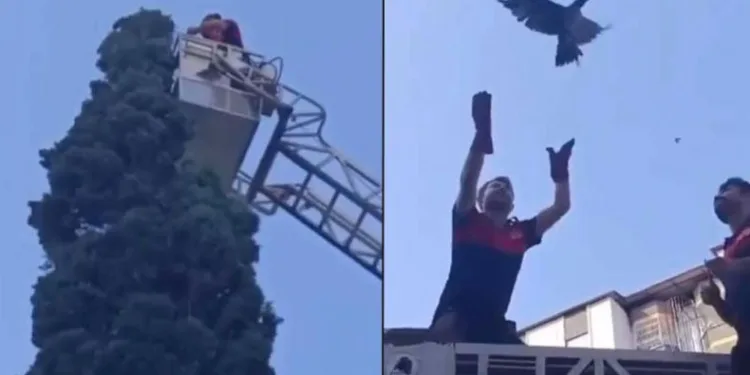 Ayağına ip takılınca ağaçta mahsur kalan karganın imdadına itfaiye yetişti