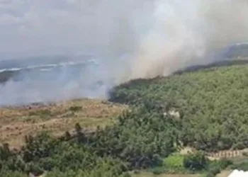 Antalya’da orman yangını