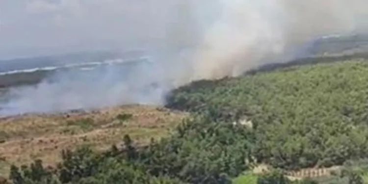Antalya’da orman yangını