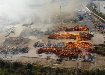 Aydın’da kağıt fabrikasında yangın