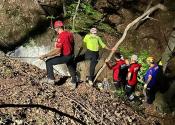 Odun toplama için gittiği ormanda cansız bedeni bulundu