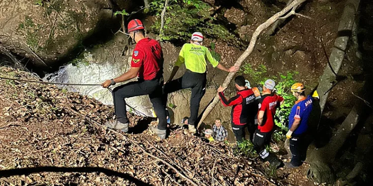 Odun toplama için gittiği ormanda cansız bedeni bulundu