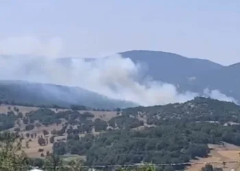 Bursa’daki orman yangını kontrol altına alındı