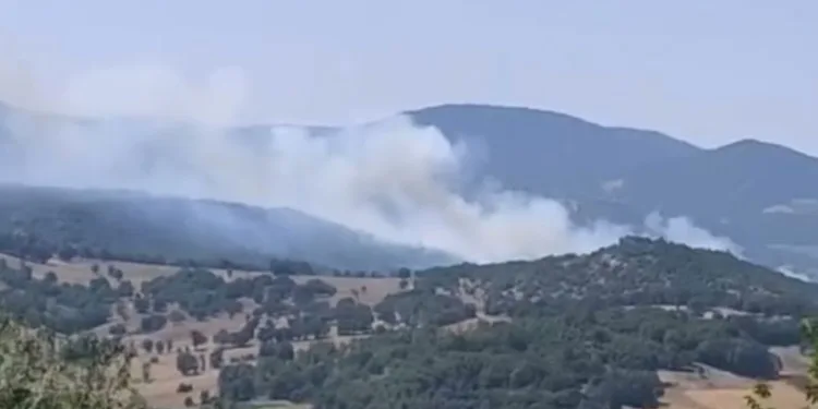 Bursa’daki orman yangını kontrol altına alındı